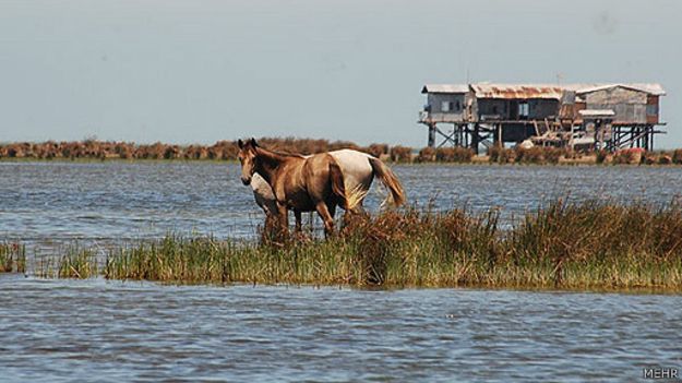 احتمال وقوع یک زمین خواری بزرگ/ آشوراده آزمون بزرگ قدرت نظارتی سازمان محیط زیست